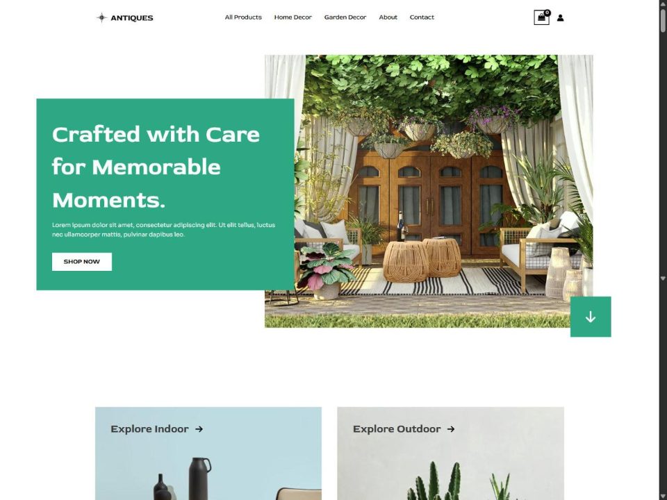 Home Decor & Furniture website demo (SITS-EC03)